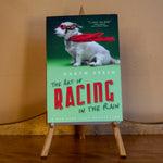 The Art of Racing in the Rain by Garth Stein